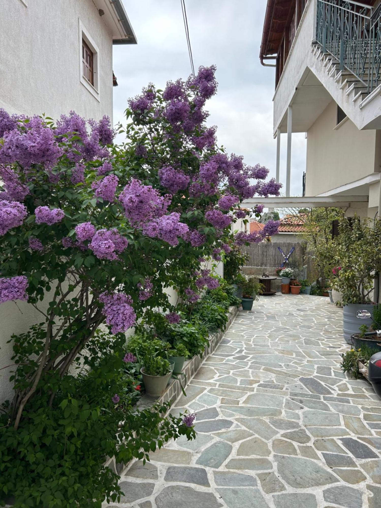 Guesthouse Doma Est 1991 Arachova Zewnętrze zdjęcie